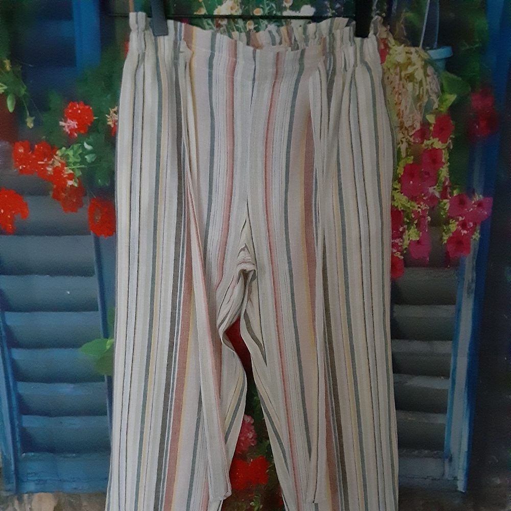 pants - Picture 2 of 4